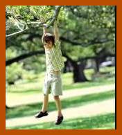 Picture of a young boy hanging from a tree limb, playing
